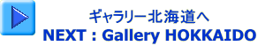 ギャラリー北海道へ NEXT : Gallery HOKKAIDO 